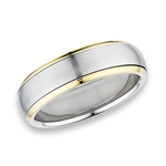 Stainless Steel Spinning RING with Gold IP