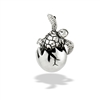 Sterling Silver Egg Pendant With Hatching Turtle (Moves)